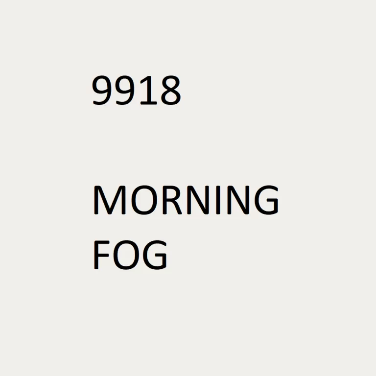 màu 9918 Morning Fog