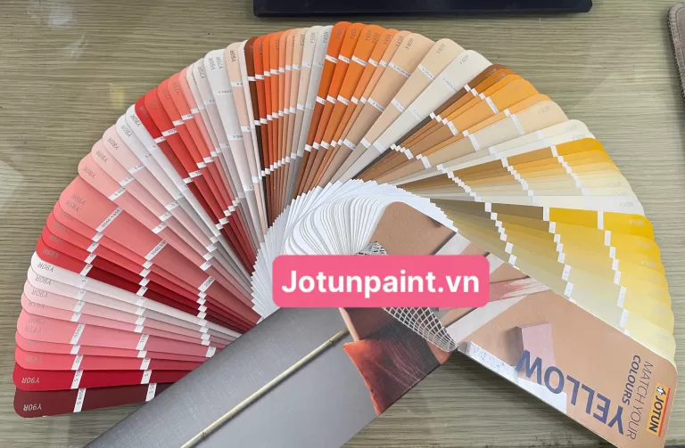 Nhóm Yellow – Ánh nắng trong trẻo