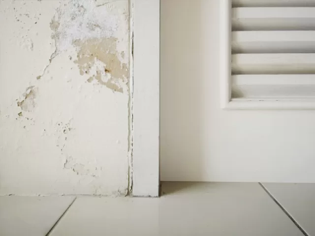 Sơn bị bong tróc