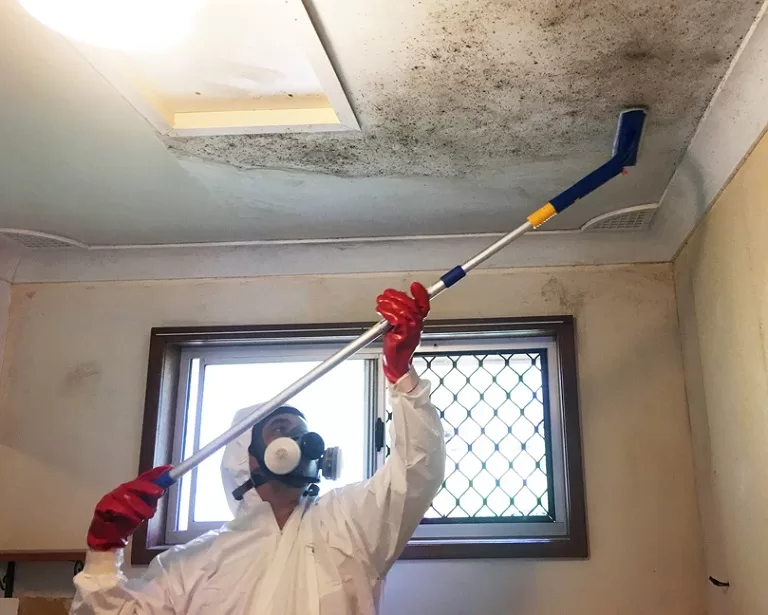 Xuất hiện nấm mốc