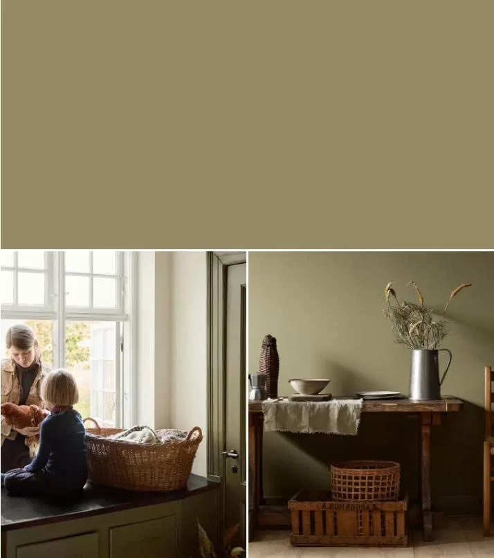 8597 Seaweed Green – Xanh rêu cá tính