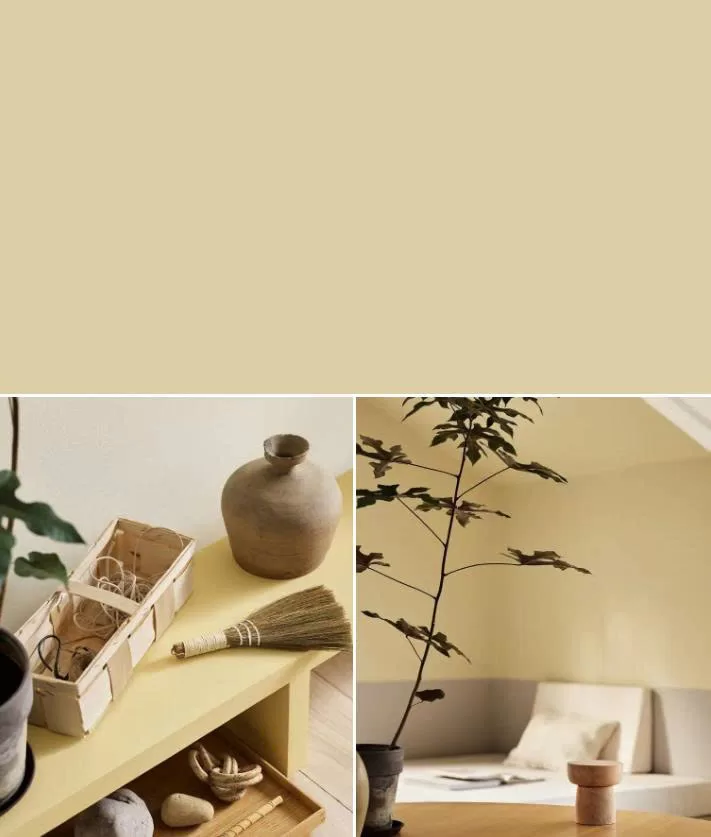 1965 Ginger Tea – Vàng xanh độc đáo