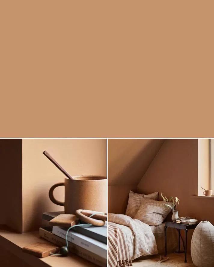 Bộ sưu tập màu sắc 2026 - 11220 Ochre Clay – Vàng đất cổ điển