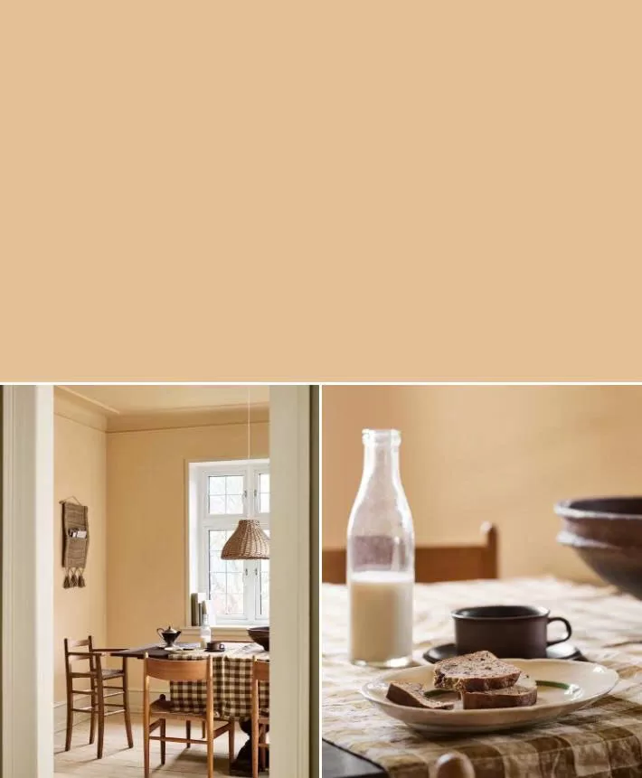 Bộ sưu tập màu sắc 2026 - 11202 Mild Ochre – Vàng nhạt ấm áp