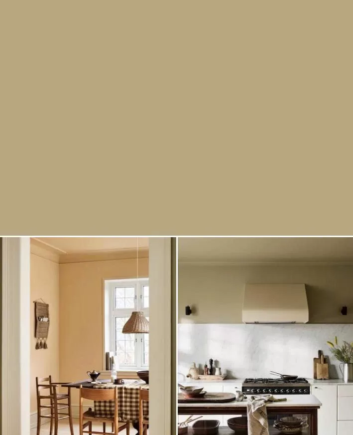 8284 Olive – Xanh olive thanh lịch