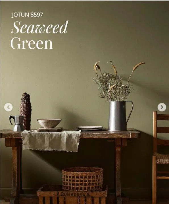 Bộ sưu tập màu sắc 2026 - 8597 Seaweed Green 